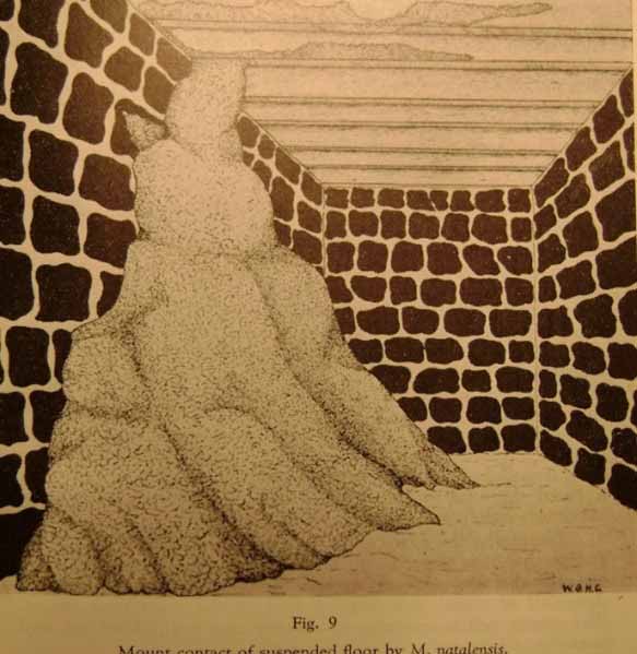 Picture17