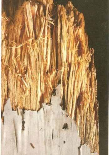 Picture21