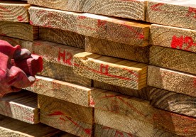 Picture10