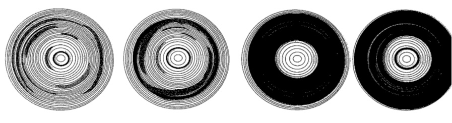 abnormal wood